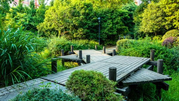 Projektowanie ogrodów – dlaczego warto powierzyć fachowcom?